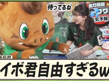 【駒木結衣】 自由なダイボ君のおかげで結衣ちゃんはアセアセ🐨💦ダイボ君が結衣ちゃんの言うことをよく聞かないんです