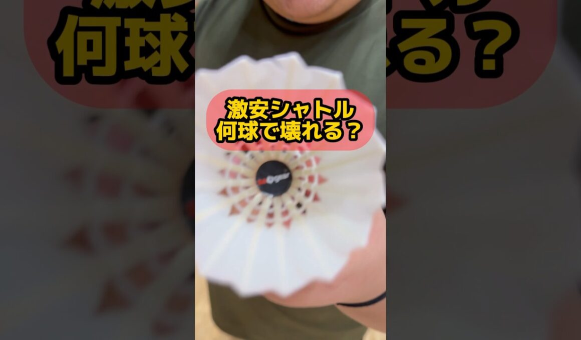 激安シャトルは爆速スマッシュ耐えられるのか？🫨#龍羽団 #バドミントン