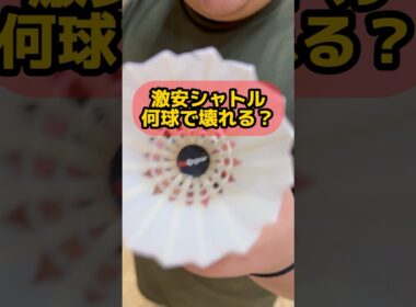激安シャトルは爆速スマッシュ耐えられるのか？🫨#龍羽団 #バドミントン