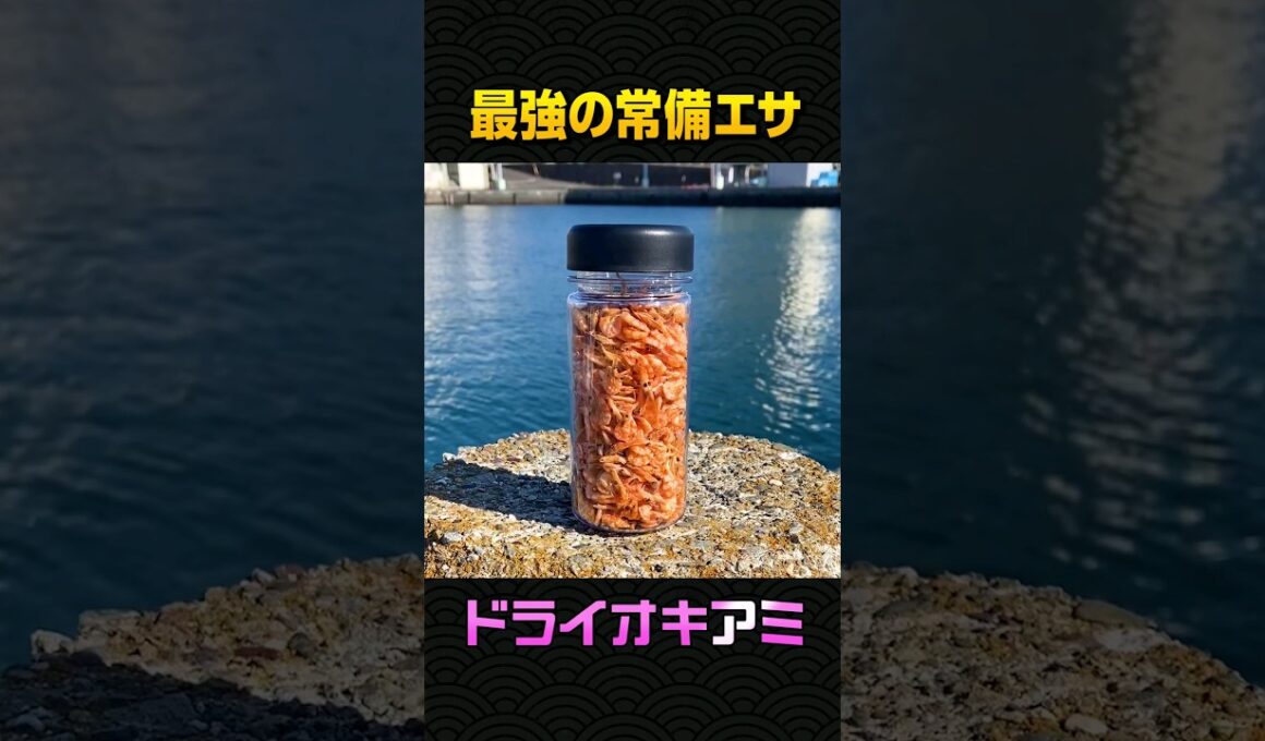 あまったオキアミ再利用! #shorts #fishingvideo #drybait #ちょい釣り #ドライエサ