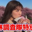 【小林李衣奈】河津桜の調査に出掛けたりーちゃんですがアフタヌーンで特別出演をしてくれました