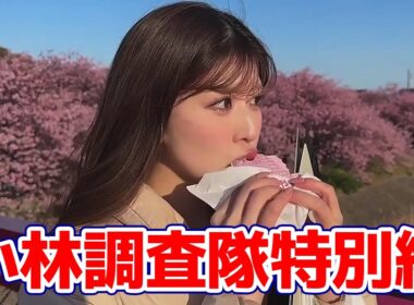 【小林李衣奈】河津桜の調査に出掛けたりーちゃんですがアフタヌーンで特別出演をしてくれました