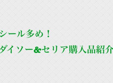 シール多め！ダイソー&セリア購入品紹介