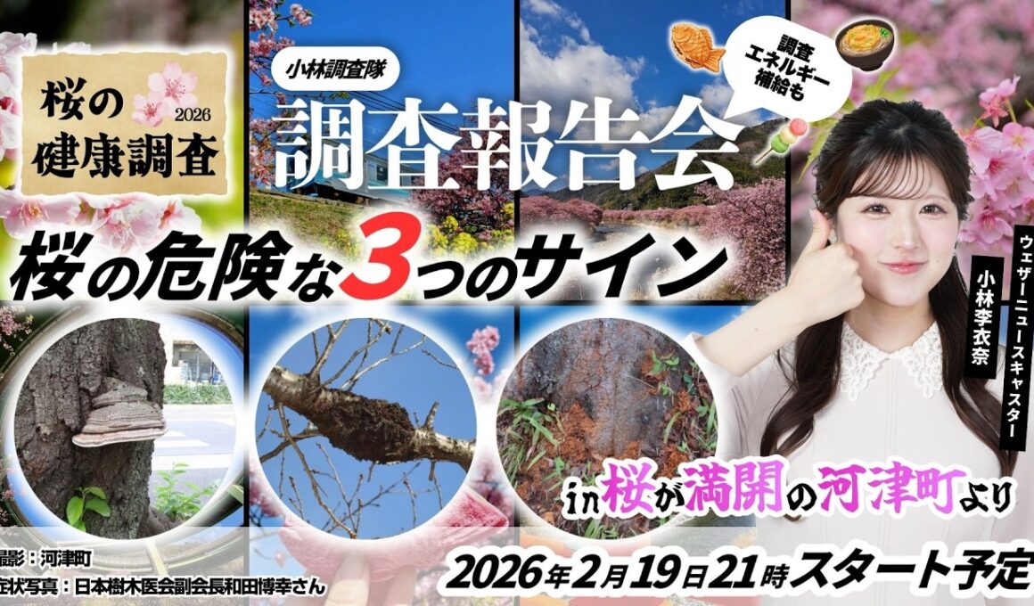 【桜企画2026】綺麗な桜に潜む「3つの危険なサイン」とは？🌸満開の河津町から生配信〜桜の健康診断2026小林調査隊調査報告会〜｜2026.2.19 21:00~