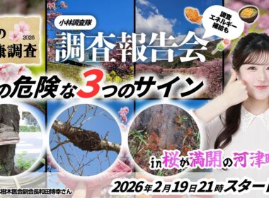 【桜企画2026】綺麗な桜に潜む「3つの危険なサイン」とは？🌸満開の河津町から生配信〜桜の健康診断2026小林調査隊調査報告会〜｜2026.2.19 21:00~