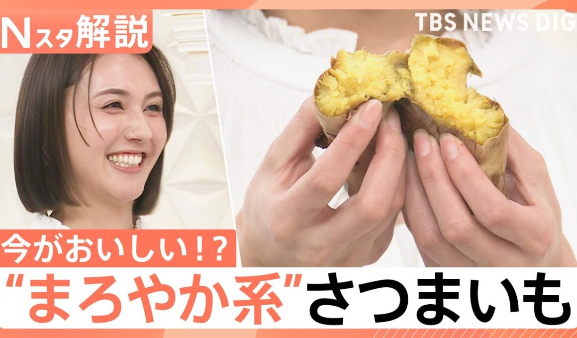 ねっとり派？ホクホク派？ 甘さ引き立つ冬のさつまいも…“まろやか系”も登場、農家直伝！さつまいもの選び方【Nスタ解説】｜TBS NEWS DIG