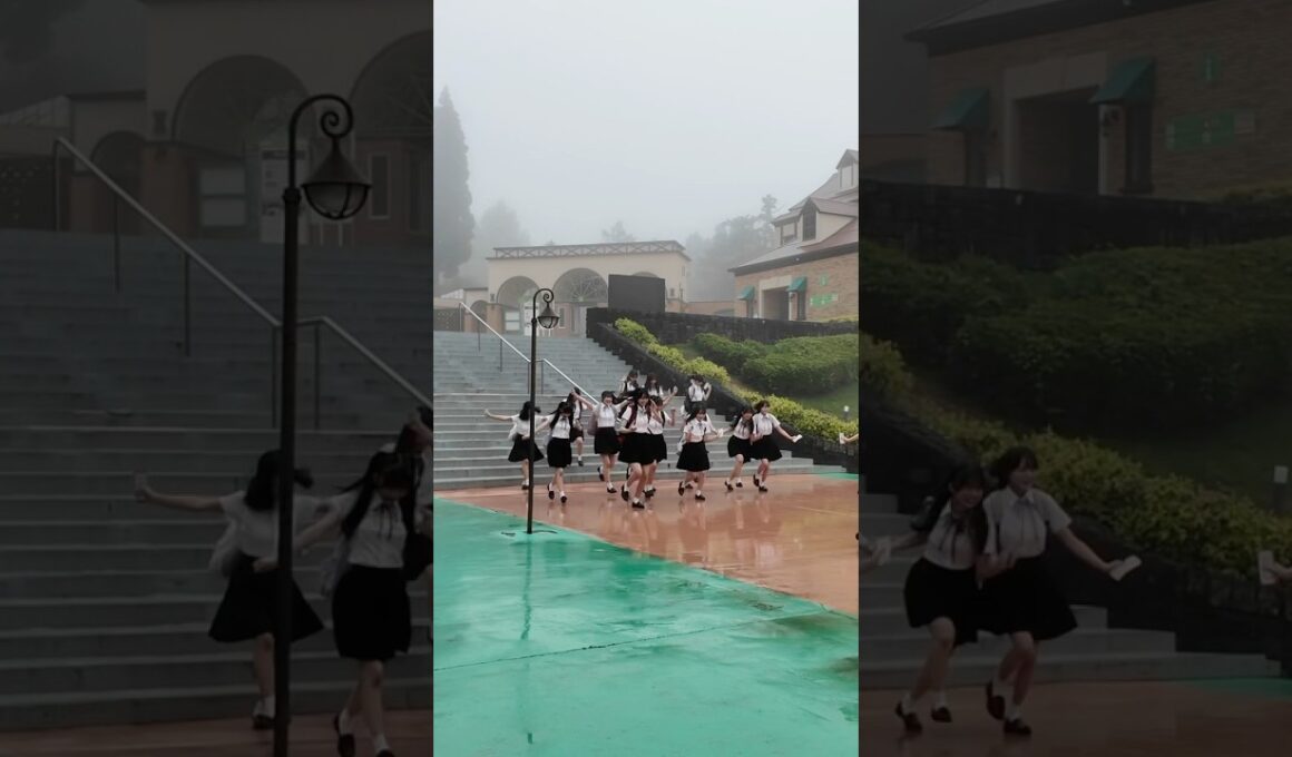 #hkt48 #半袖天使