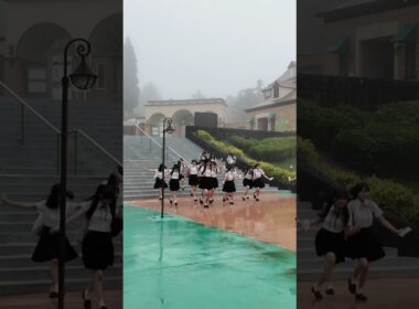 #hkt48 #半袖天使