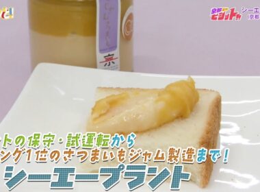 プラント事業からジャム製造まで！？気になる京都企業を訪問／京都経済テラス キュンと！