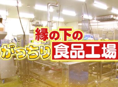 『がっちりマンデー!!』縁の下の食品工場! デカチキンカツ､超スゴいつけ麺､㊙ミニパン 3/1(日)【TBS】