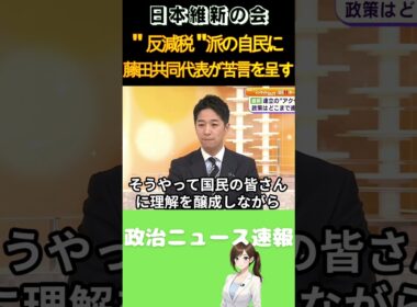 【日本維新の会】自民党の反減税勢力に物申す【藤田文武】