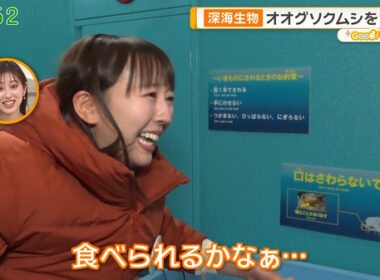 【画像】今日の斎藤ちはるさん　2.12