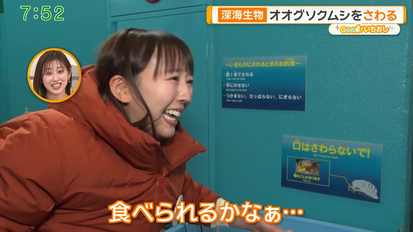 【画像】今日の斎藤ちはるさん　2.12