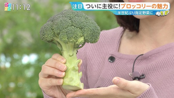 【画像】今日の若林有子さん　 2.11