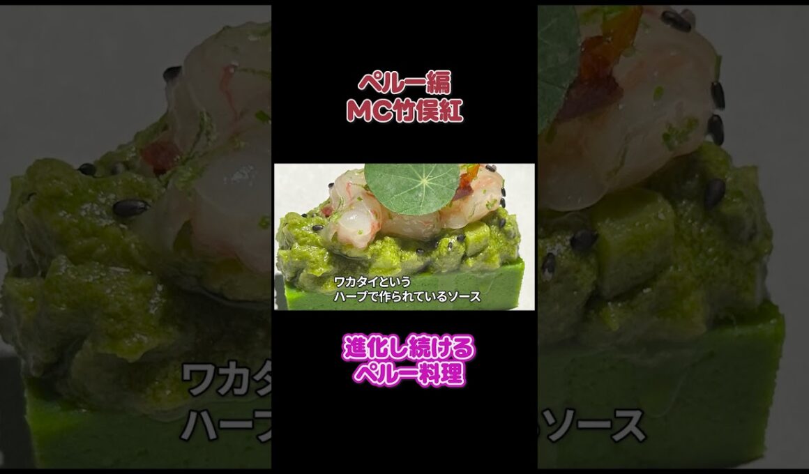 フジ竹俣紅🇵🇪ヒュージョンの魅力