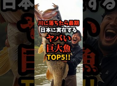 日本の川にいるヤバい巨大魚!!#shorts