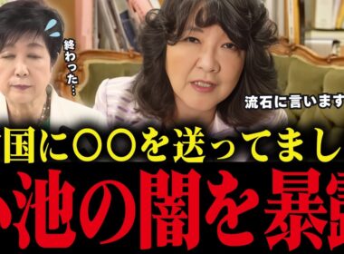【片山さつき】小池百合子と中国の関係を暴露してしまう...とんでもない事実が発覚しました【小池都知事/都議会/さとうさおり】