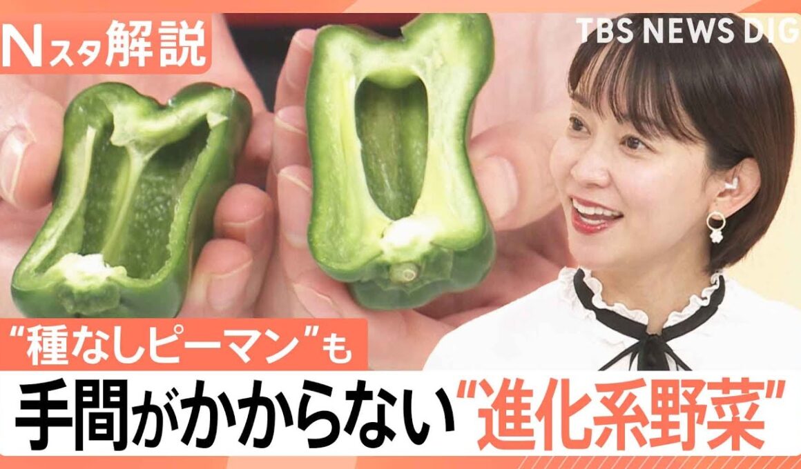 “時短ピーマン”に“種取り不要スイカ” 涙の原因を抑えたタマネギも…続々登場“進化形野菜”【Nスタ解説】｜TBS NEWS DIG