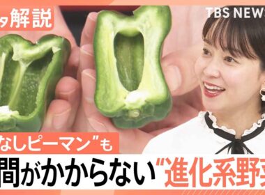 “時短ピーマン”に“種取り不要スイカ” 涙の原因を抑えたタマネギも…続々登場“進化形野菜”【Nスタ解説】｜TBS NEWS DIG