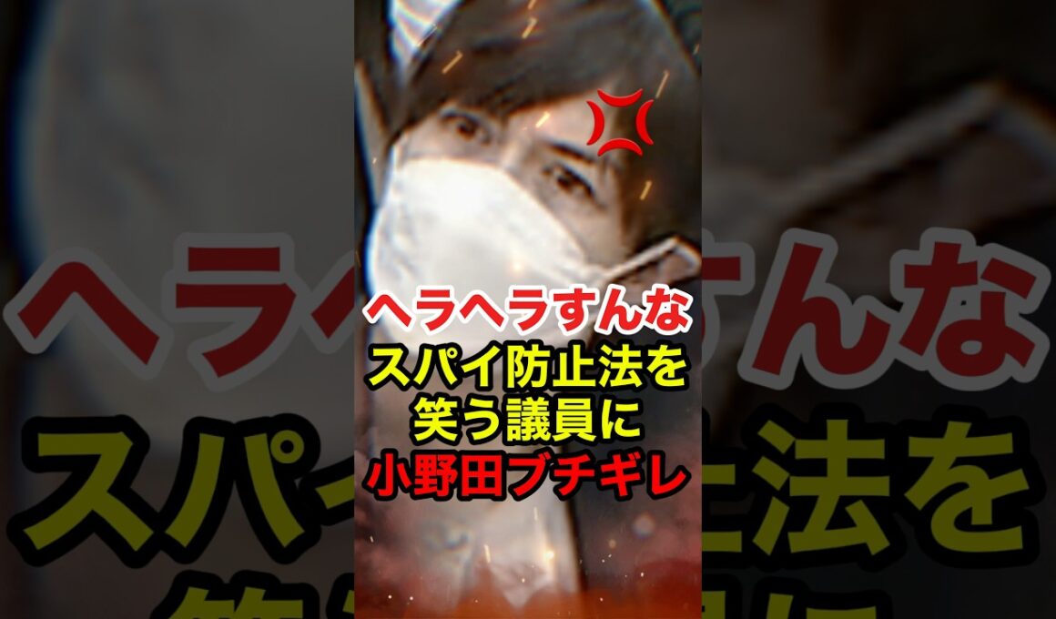 ㊗️100万再生!!【小野田紀美】スパイ防止法を笑う立憲 羽田次郎に小野田がブチギレ #小野田紀美 #高市早苗 #政治 #shorts