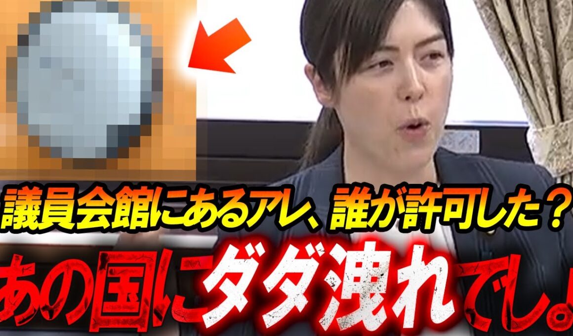 小野田紀美のキレキレ答弁「所管外の責任逃れはやめて！」既に国会で警鐘を鳴らしていた！議員会館の機器からあの国に情報がダダ洩れの可能性も...