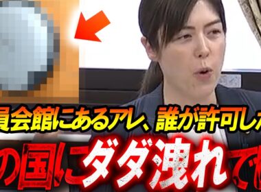 小野田紀美のキレキレ答弁「所管外の責任逃れはやめて！」既に国会で警鐘を鳴らしていた！議員会館の機器からあの国に情報がダダ洩れの可能性も...