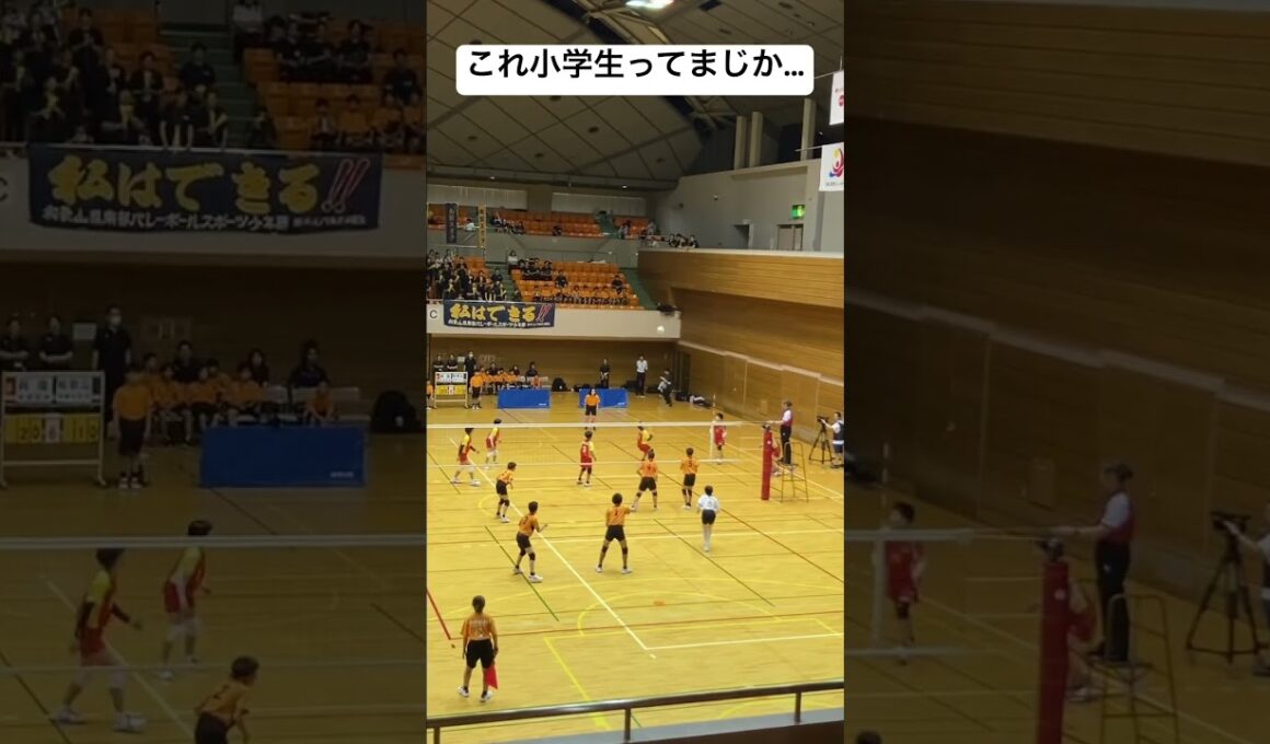 全国優勝の瞬間！！ #バレーボール #volleyball