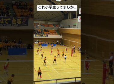 全国優勝の瞬間！！ #バレーボール #volleyball