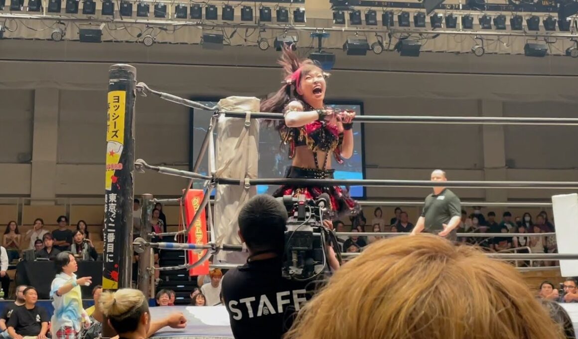 【DDT】世界一かわいい？攻防です#ddtpro【プロレス】