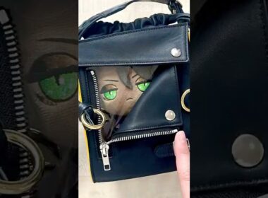 レオナおじたんをイメージしたぬいバッグ作ってみた #ツイステ #ぬいぐるみ