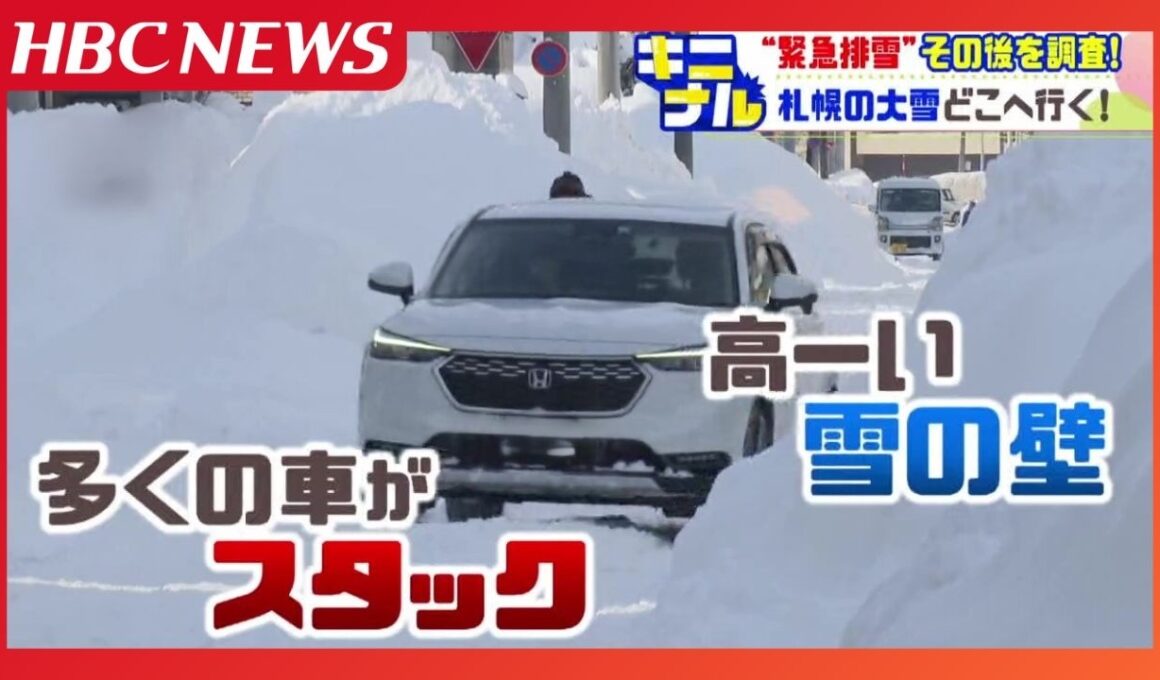札幌に降った雪はどこへ？…札幌ドーム12杯分が堆積場に　高さ30m積み上げ、この後は重機でかきまぜてとかす作業へ