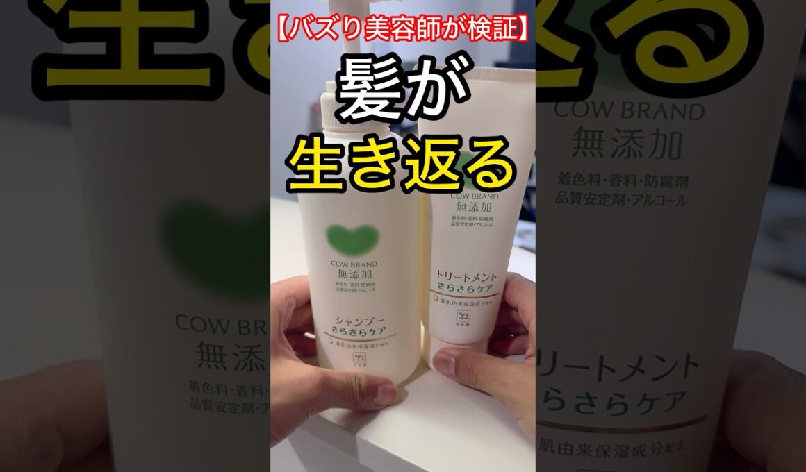 美容師が教えるこの最強シャンプーを見つけたら髪が生き返る