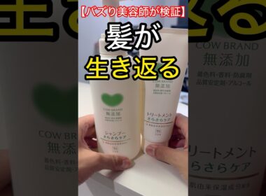 美容師が教えるこの最強シャンプーを見つけたら髪が生き返る