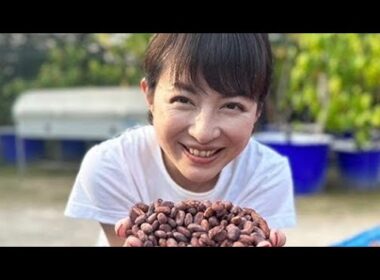 平井理央「タイのランパーンまでカカオ豆を視察」チョコレートで起業し奮闘した1年「低GIで乳酸菌約1000億個のチョコを」