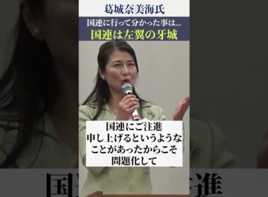 【葛城奈海氏】国連は左翼の牙城!!  #夫婦別姓   #自民党  #shorts