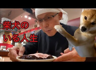 【柴犬飼い主56歳】覚悟があるなら最高の相棒になります。ようこそ柴犬のいる人生