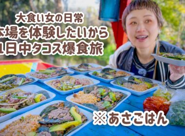【大食い女の爆食旅に密着】朝から晩までタコス旅。大食い女は1日でいくつタコスをたべるのか。【メキシコ旅2日目】【大食い】【VLOG】【大食い女の日常】