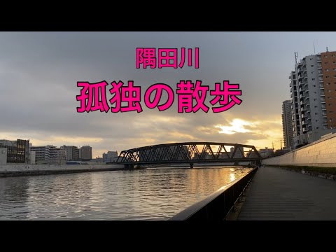 【孤独の56歳】隅田川を歩いたら気持ちよかった