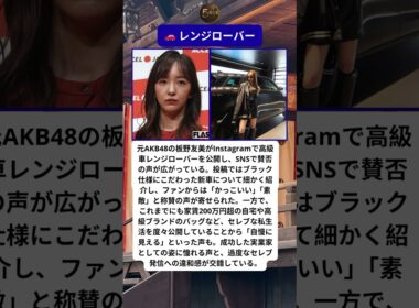 🎌 板野友美セレブ論争