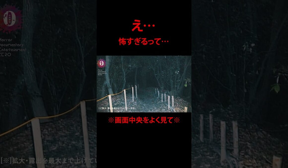 【ガチ】※画面中央をよく見て※死んだ人が走ってます #超閲覧注意  #心霊番組ゼロ #本物