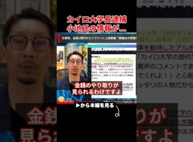 【小池百合子】癒着疑惑のあったカイロ大学長が汚職で逮捕...学歴詐称疑惑が明らかに...【小池都知事/さとうさおり】
