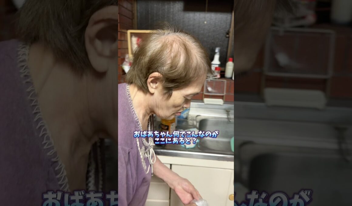 【閲覧注意⚠️】小バエ大量発生#中西家の日常 #爆笑#旅行#家族#おばあちゃん#YouTube#shorts