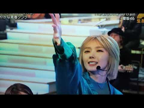 【うたコン】櫻坂46「The growing up train」 ザグローイングアップトレイン ＜フル/NHK歌コン＞2026年3月10日 LIVE FULL