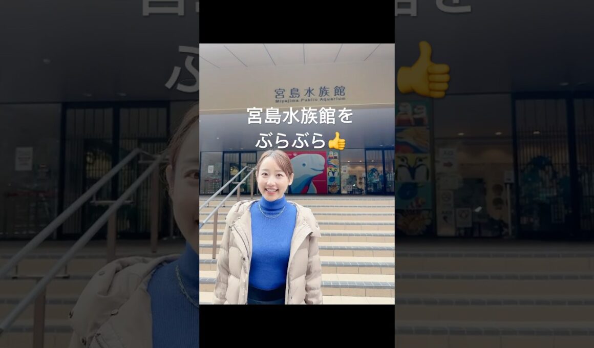 宮島北大路魯山人美術館の近所を散歩#shorts #宮島北大路魯山人美術館 #河村綾奈 #宮島 #魯山人 #rosanjin