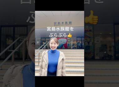 宮島北大路魯山人美術館の近所を散歩#shorts #宮島北大路魯山人美術館 #河村綾奈 #宮島 #魯山人 #rosanjin