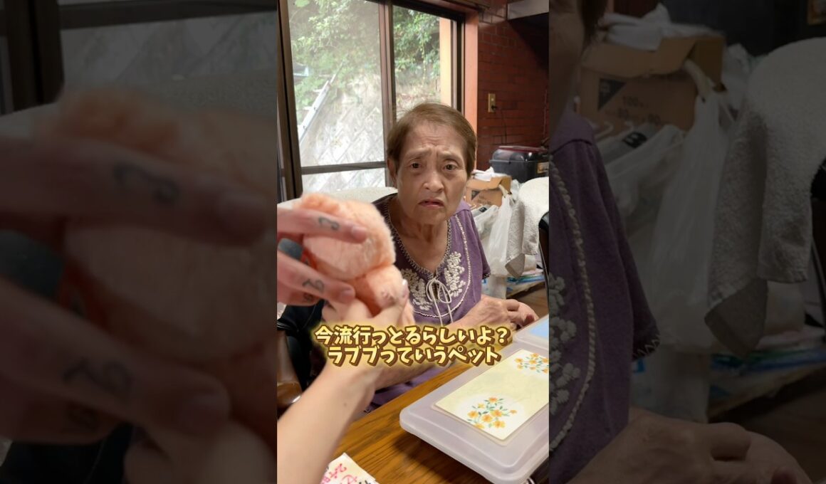 【爆笑】隆太のお母さんに会ってきた #中西家の日常 #日常 #おばあちゃん #プレゼント