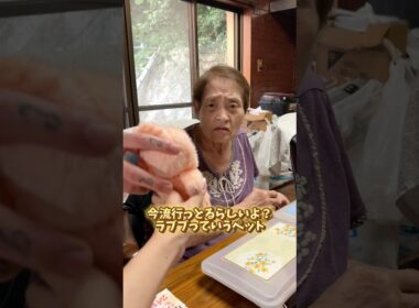 【爆笑】隆太のお母さんに会ってきた #中西家の日常 #日常 #おばあちゃん #プレゼント