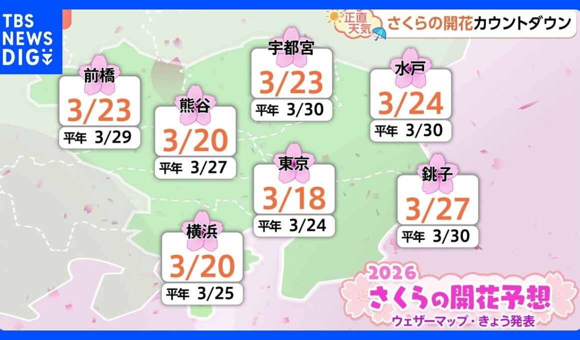 【3月13日 関東の天気】海沿い 高波に注意｜TBS NEWS DIG