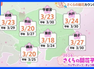 【3月13日 関東の天気】海沿い 高波に注意｜TBS NEWS DIG