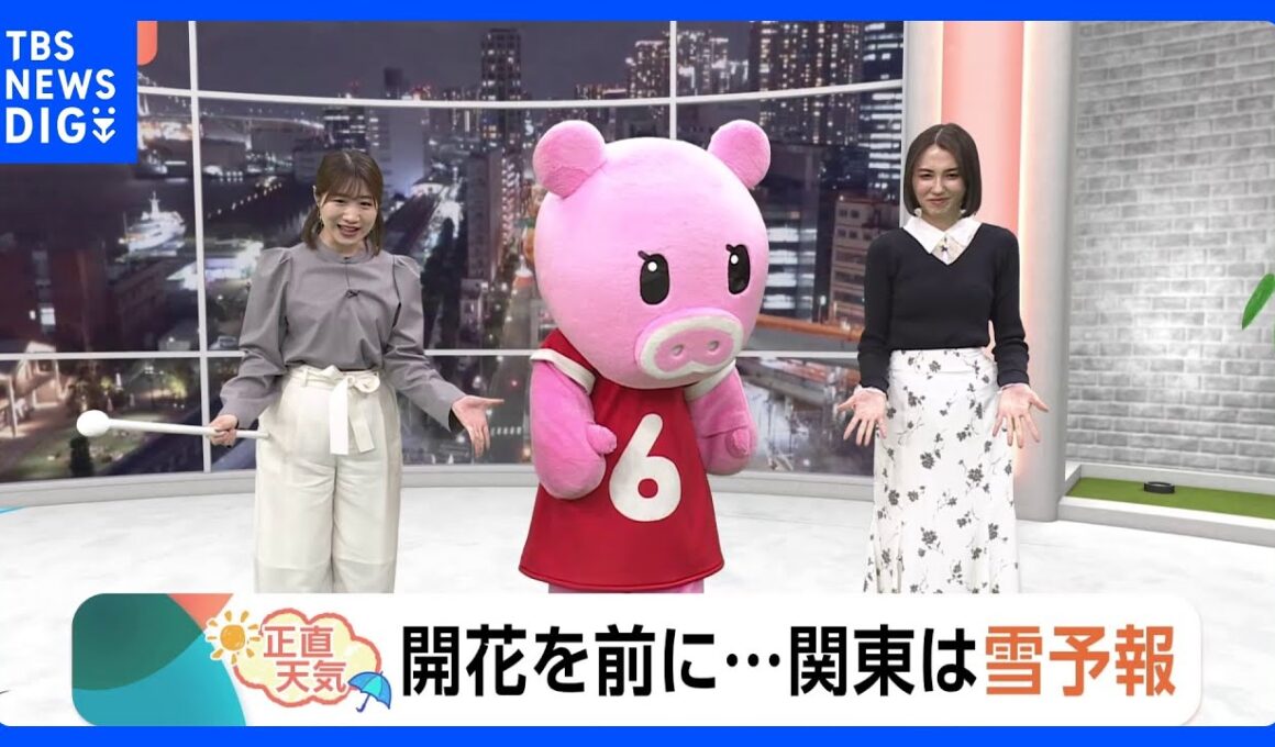 【3月10日 関東の天気】開花を前に…関東は雪予報｜TBS NEWS DIG